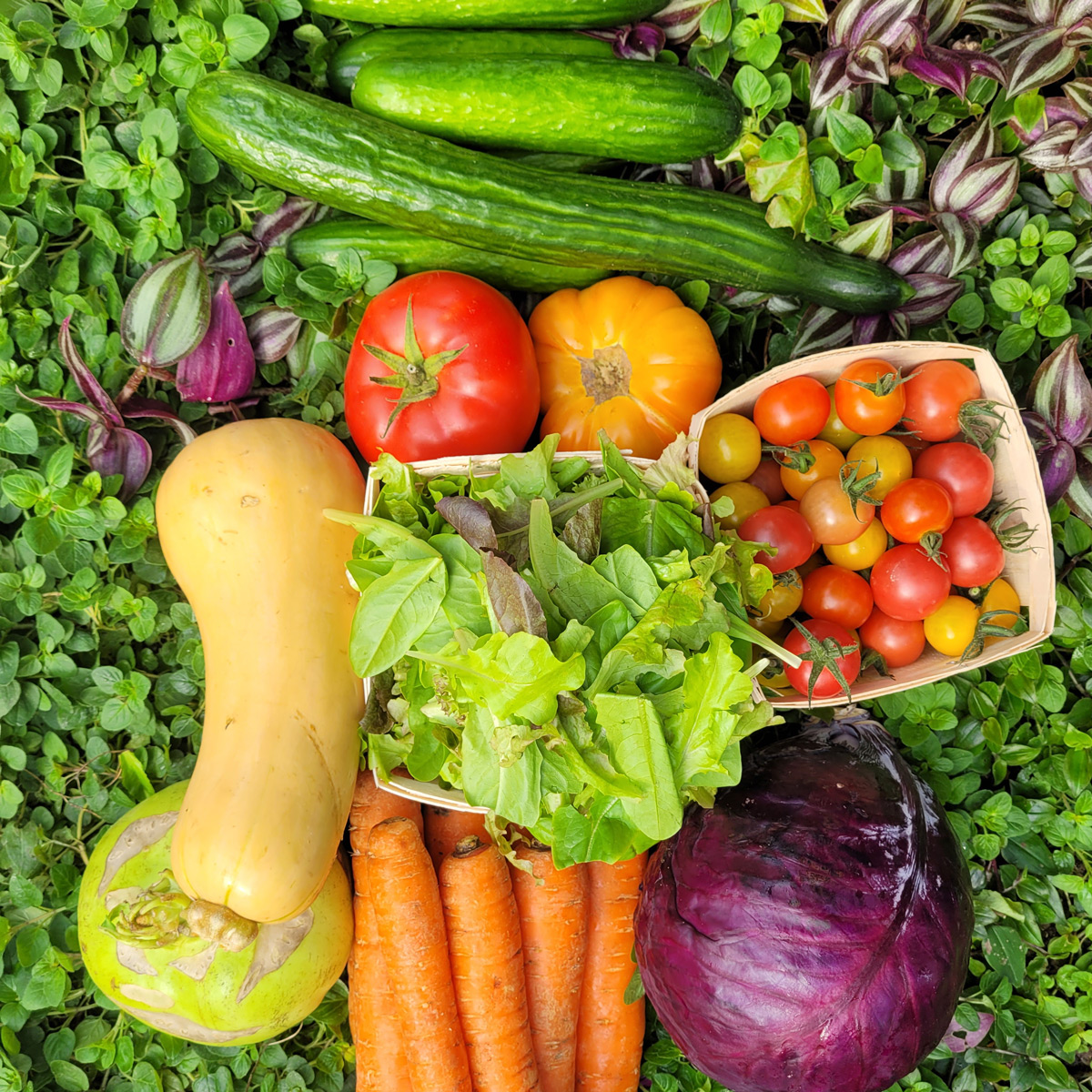 Paniers de légumes