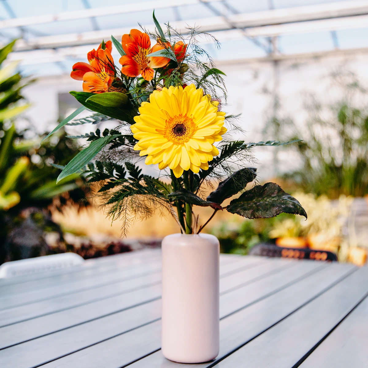 Arrangement fleural